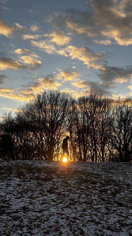 Winter sunset