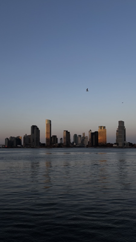 NYC skyline
